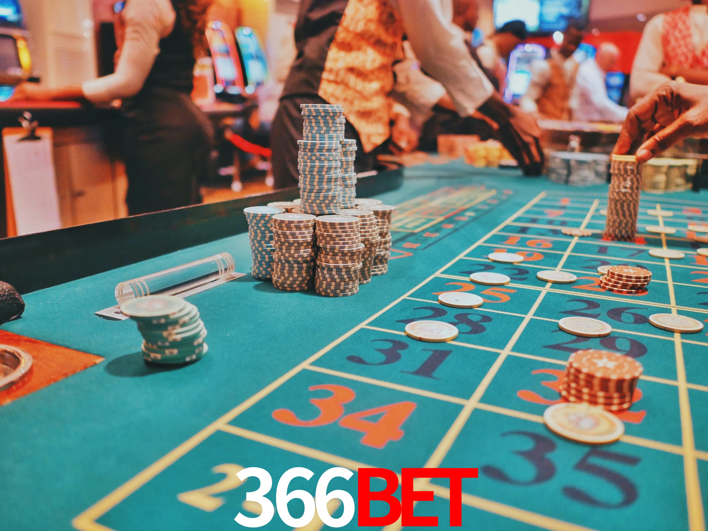Sports Statistics 366bet